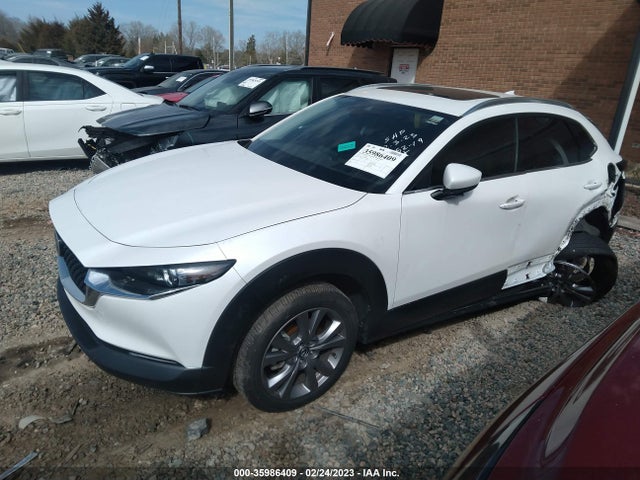 2021 MAZDA CX-30 PREMIUM VIN: 3MVDMBDL5MM307090