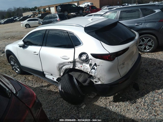 2021 MAZDA CX-30 PREMIUM VIN: 3MVDMBDL5MM307090