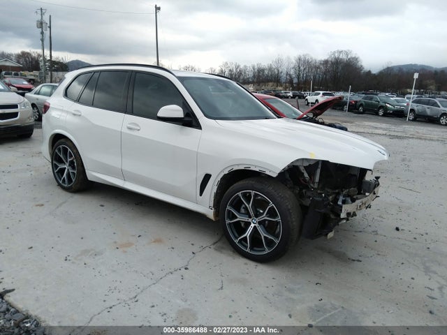 2019 BMW X5, VIN: 5UXCR6C53KLL39493