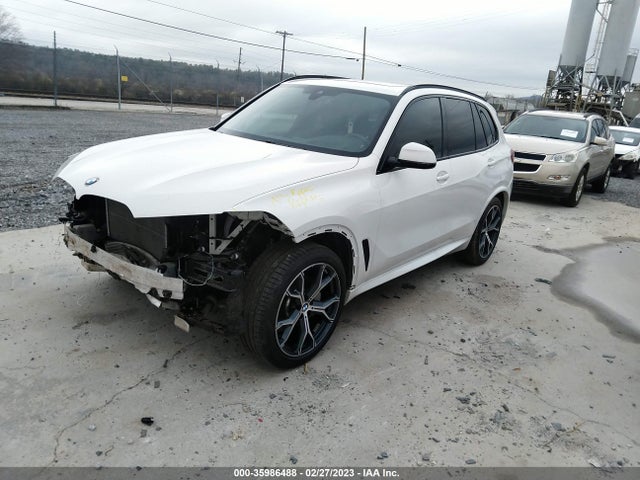 2019 BMW X5, VIN: 5UXCR6C53KLL39493