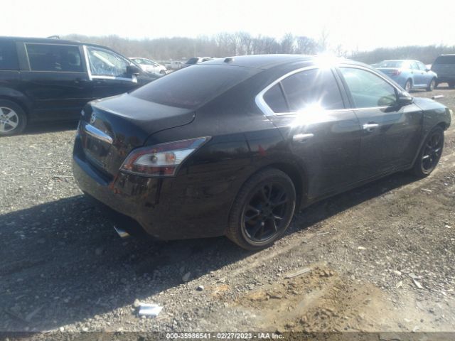 1N4AA5AP8EC909853 Nissan MAXIMA 3.5