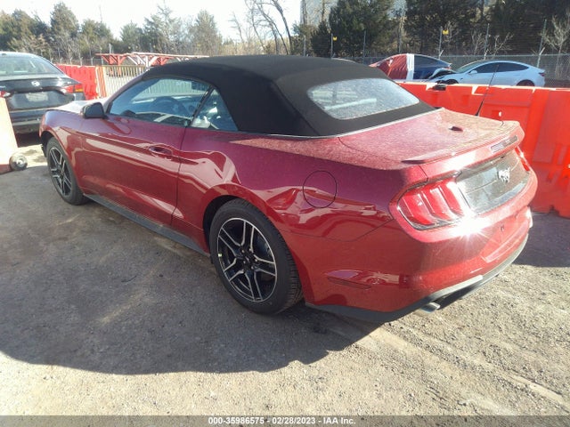 2023 Ford Mustang, VIN: 1FATP8UH8P5100499