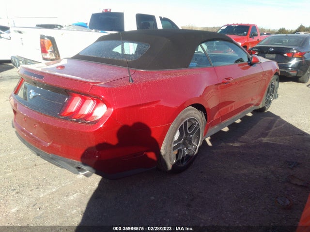 2023 Ford Mustang, VIN: 1FATP8UH8P5100499