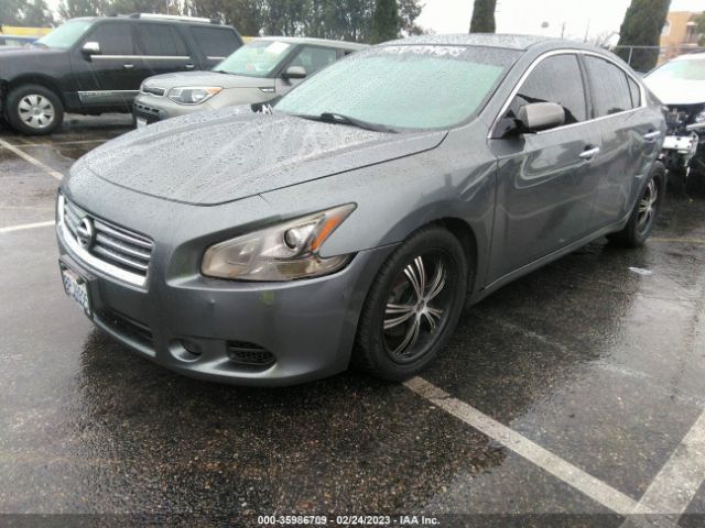 1N4AA5AP1EC454652 Nissan MAXIMA 3.5