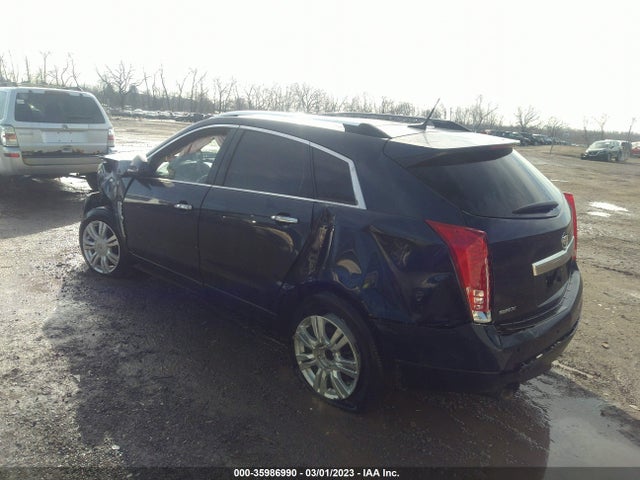 2010 CADILLAC SRX LUXURY COLLECTION VIN: 3GYFNAEY4AS641592