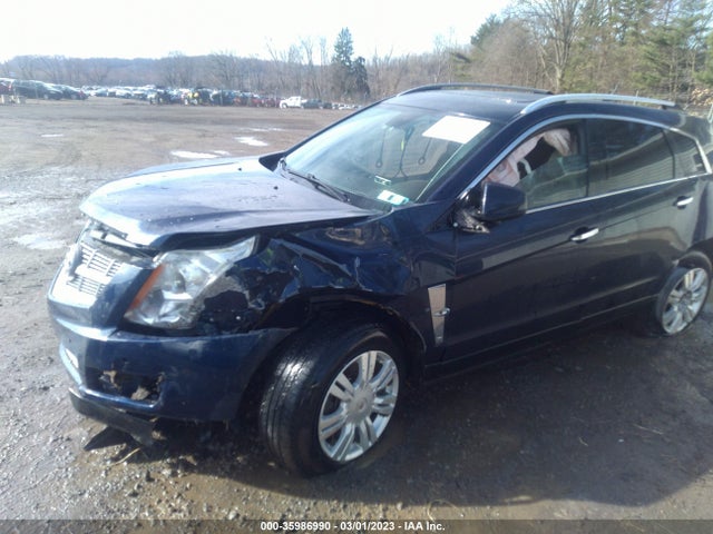 2010 CADILLAC SRX LUXURY COLLECTION VIN: 3GYFNAEY4AS641592