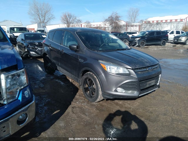 Ford ESCAPE SE 2014 1FMCU9G93EUA31460 Image 1