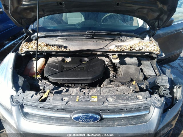 Ford ESCAPE SE 2014 1FMCU9G93EUA31460 Image 11