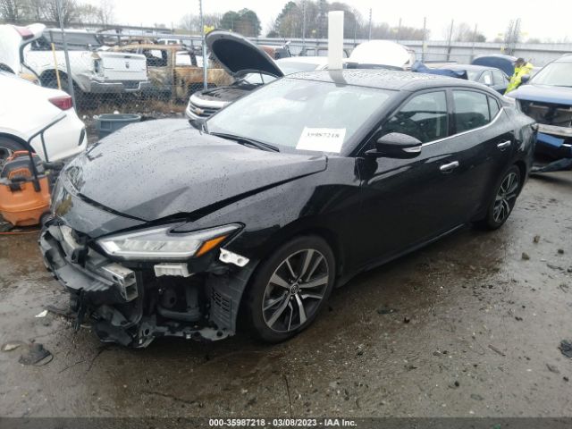 1N4AA6CVXLC360364 Nissan MAXIMA SV