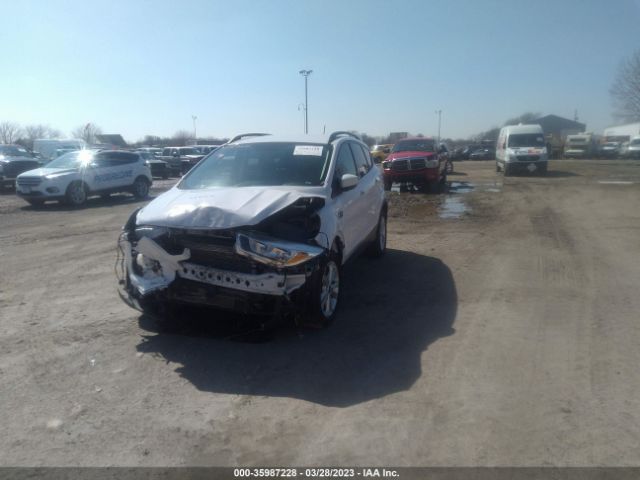 1FMCU9GD9JUB10811 Ford ESCAPE SE