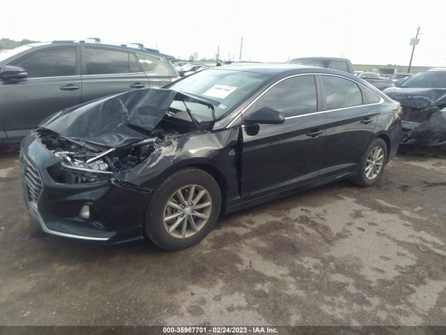 Hyundai SONATA SE 2019 5NPE24AF5KH757864 Image 2