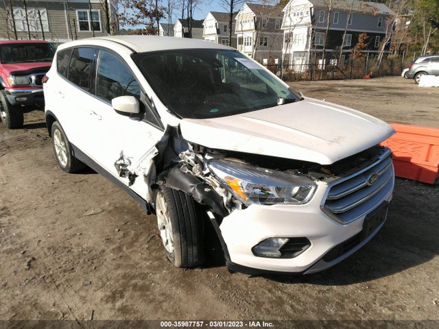 2019 Ford Escape, VIN: 1FMCU0GD6KUA30766