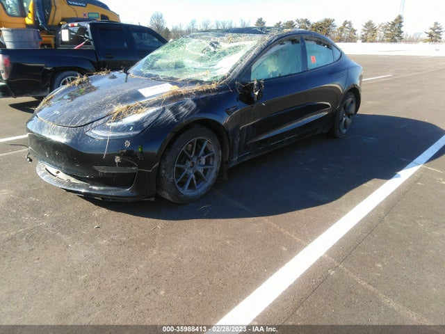 Tesla Model 3 Long Range 2021 5YJ3E1EB6MF992599 Image 3