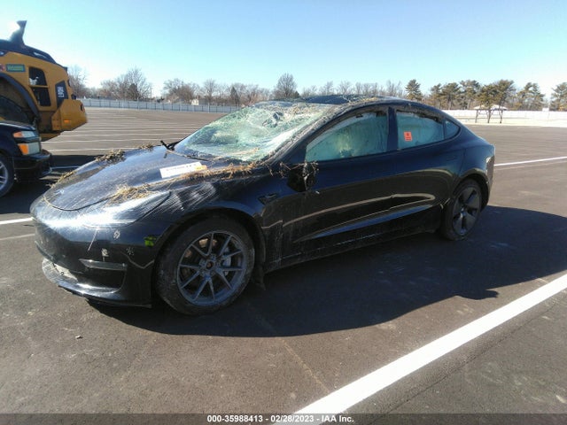 Tesla Model 3 Long Range 2021 5YJ3E1EB6MF992599 Image 2