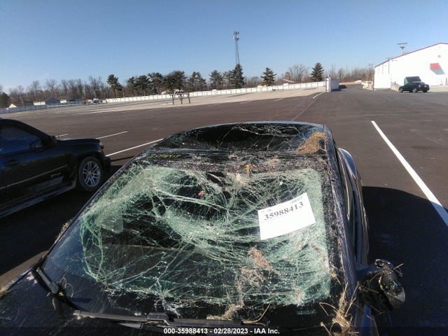 Tesla Model 3 Long Range 2021 5YJ3E1EB6MF992599 Image 7