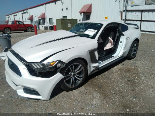 1FA6P8AM9H5209974 Ford Mustang V6