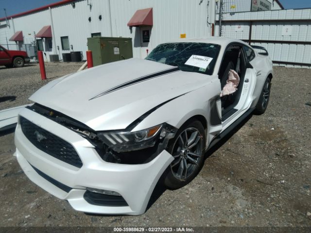 1FA6P8AM9H5209974 Ford Mustang V6
