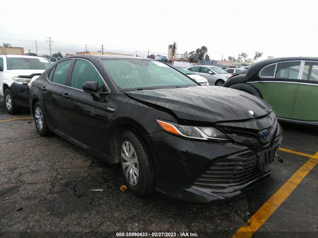 2019 4T1B31HKXKU508995 main image