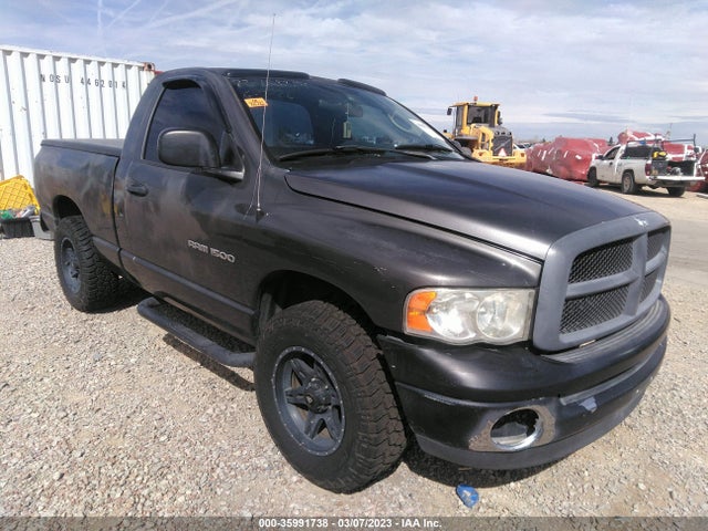 Dodge Ram 1500 St 2004 1D7HA16K44J145014 главное изображение