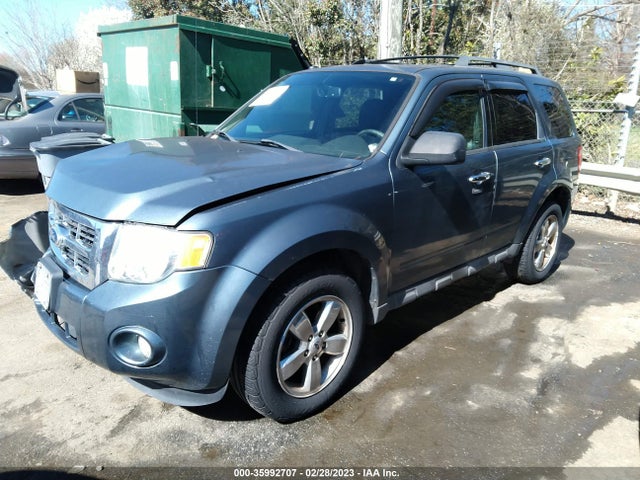 2011 FORD ESCAPE XLT VIN: 1FMCU0D75BKC36185