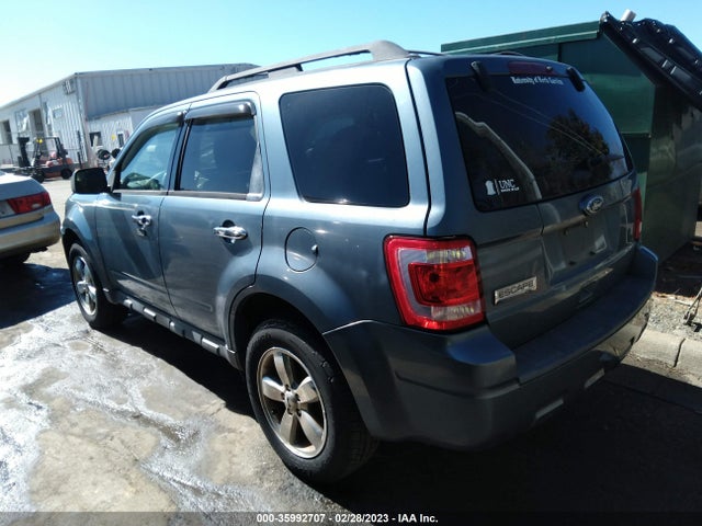 2011 FORD ESCAPE XLT VIN: 1FMCU0D75BKC36185
