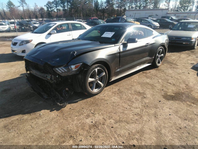 2015 Ford Fastback, VIN: 1FA6P8AM2F5325241