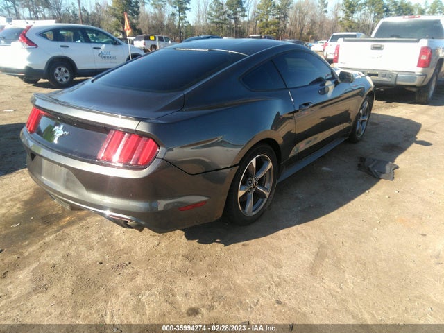 2015 Ford Fastback, VIN: 1FA6P8AM2F5325241