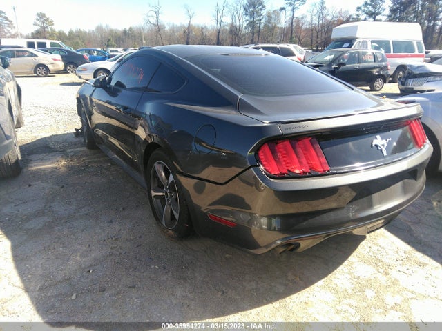 2015 Ford Fastback, VIN: 1FA6P8AM2F5325241