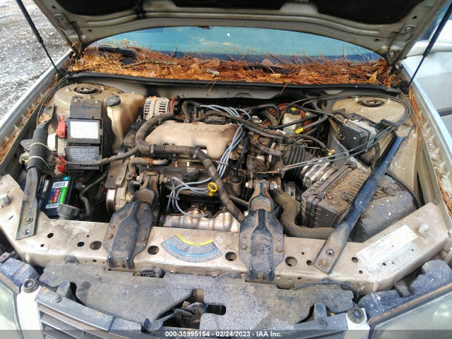 Chevrolet IMPALA 2004 2G1WF52E949203410 Image 11