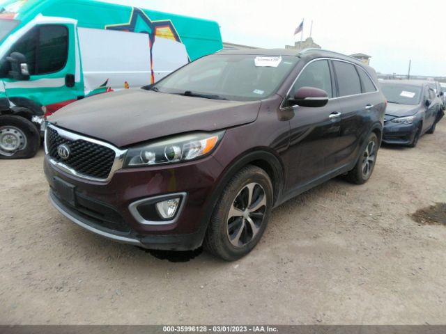 5XYPH4A57GG128314 KIA SORENTO EX