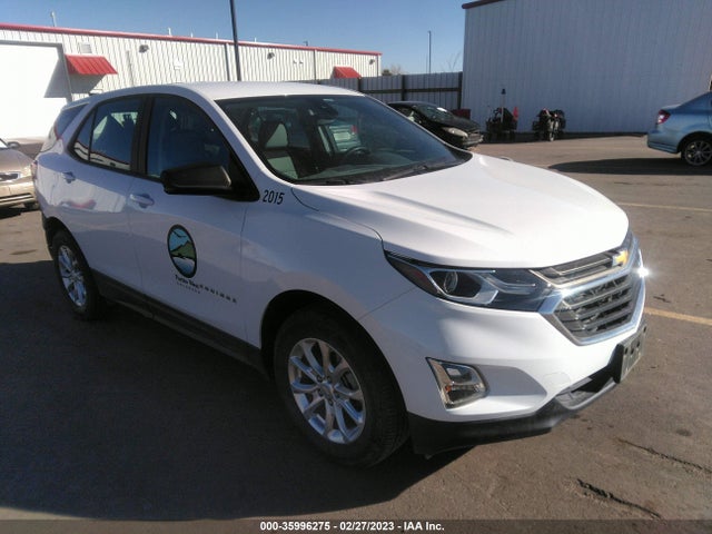 Chevrolet EQUINOX LS 2020 2GNAX5EV8L6221589 Image 1