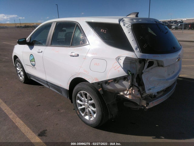 Chevrolet EQUINOX LS 2020 2GNAX5EV8L6221589 Image 3
