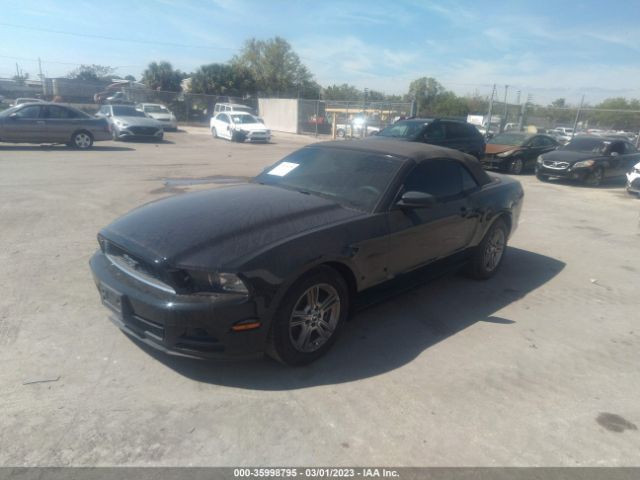 1ZVBP8EM6E5268749 Ford Mustang V6