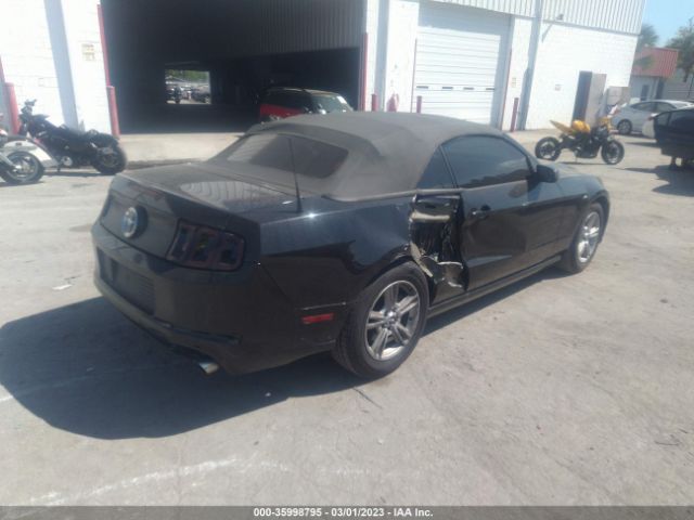 1ZVBP8EM6E5268749 Ford Mustang V6