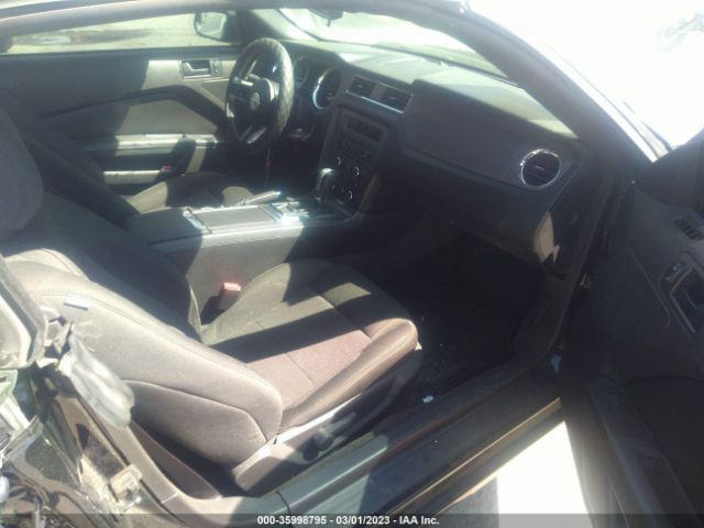 1ZVBP8EM6E5268749 Ford Mustang V6