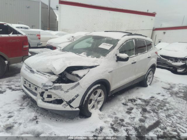 1FMCU0F73GUA41064 Ford ESCAPE S