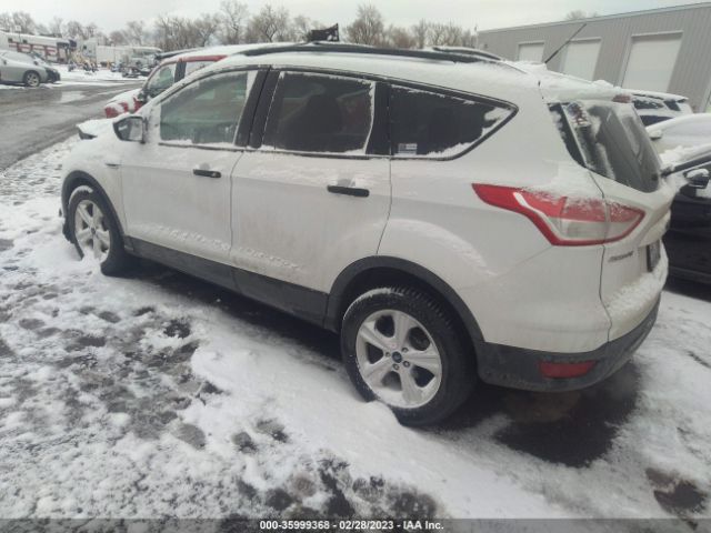 1FMCU0F73GUA41064 Ford ESCAPE S