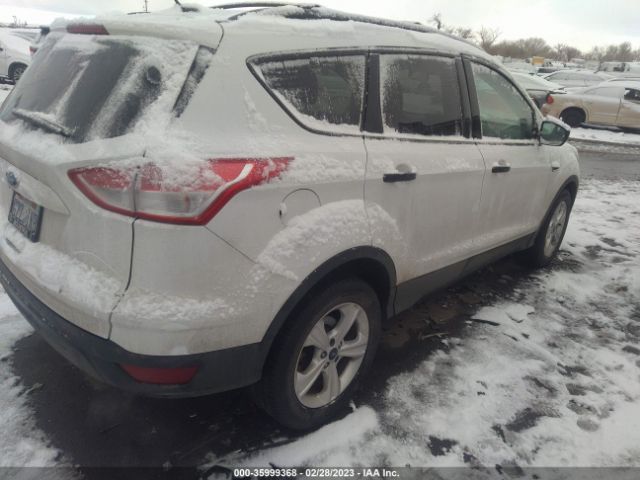1FMCU0F73GUA41064 Ford ESCAPE S