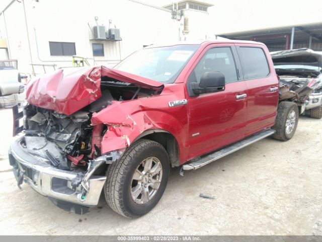 Ford F-150 Xl/lariat/xlt 2015 1FTEW1CP3FKE38222 Image 2