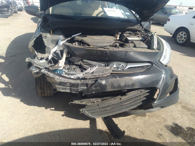 Hyundai ACCENT GLS 2014 KMHCU4AE7EU710494 Image 6