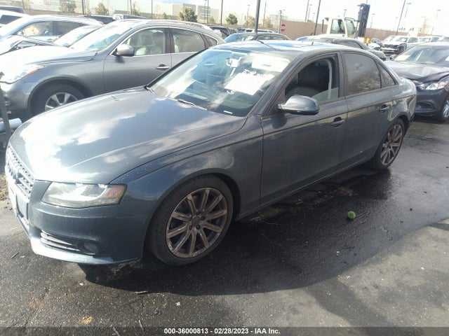 WAUAFAFL8AN035347 Audi A4 2.0t Premium