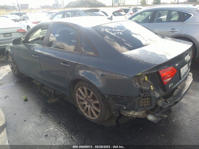 WAUAFAFL8AN035347 Audi A4 2.0t Premium