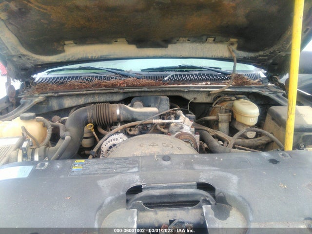 2004 CHEVROLET SILVERADO 1500 WORK TRUCK VIN: 1GCEC19X24Z280413