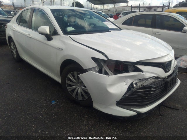 2019 Toyota Camry, VIN: 4T1B31HK4KU514131