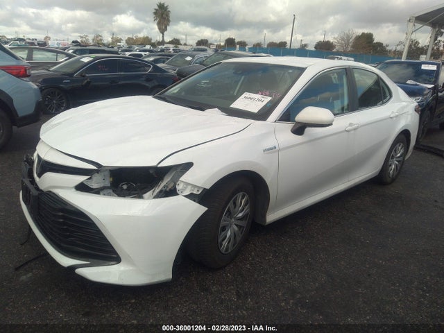 2019 Toyota Camry, VIN: 4T1B31HK4KU514131