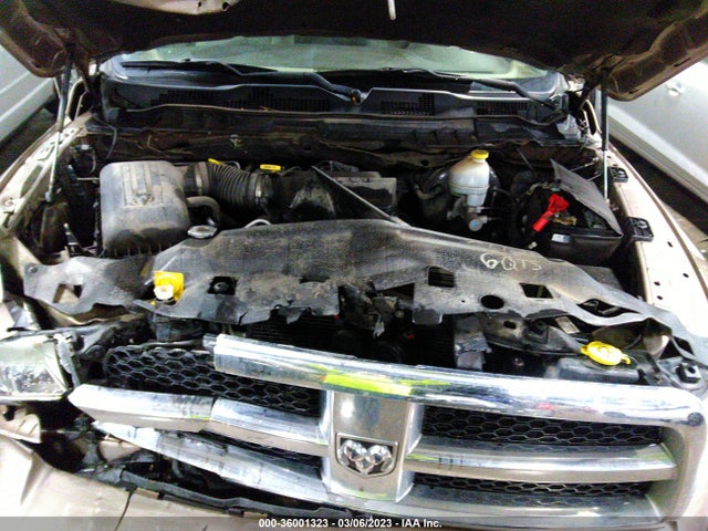 2010 DODGE RAM 1500 SLT VIN: 1D7RV1CP6AS183701