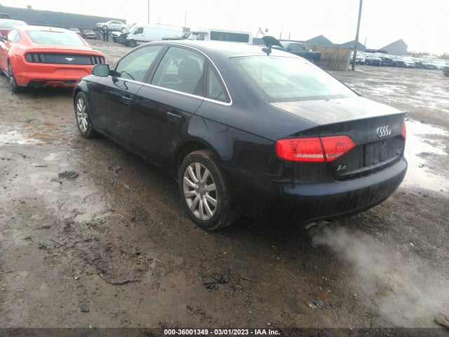 WAUFFAFL7BN024945 Audi A4 2.0t Premium  Plus
