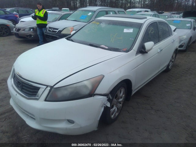 2010 HONDA ACCORD SDN EX-L VIN: 1HGCP3F89AA003080