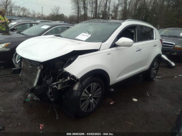 KNDPCCAC7G7834073 KIA Sportage Ex