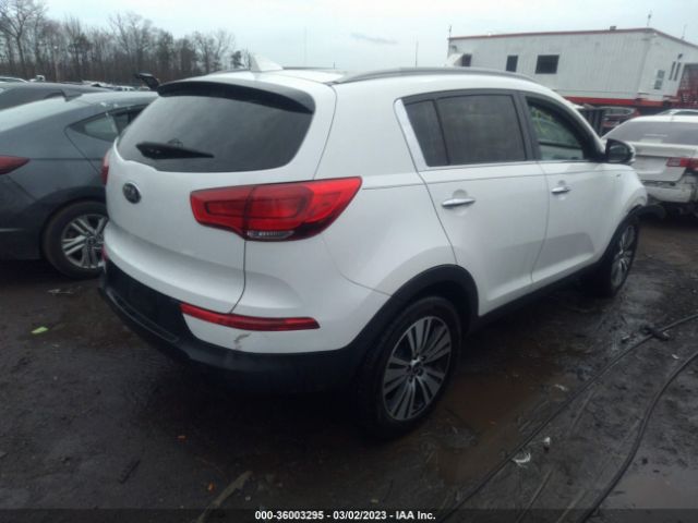 KNDPCCAC7G7834073 KIA Sportage Ex